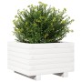 Jardinera de madera maciza de pino blanco 40x40x26,5 cm en Maceteros y jardineras | Comprar online en Foro24