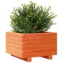 Jardinera madera maciza de pino marrón cera 40x40x26,5 cm