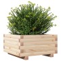 Jardinera de madera maciza de pino 50x50x26,5 cm