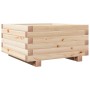 Jardinera de madera maciza de pino 50x50x26,5 cm
