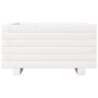 Jardinera de madera maciza de pino blanco 50x50x26,5 cm