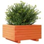 Jardinera madera maciza de pino marrón cera 50x50x26,5 cm