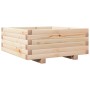 Jardinera de madera maciza de pino 60x60x26,5 cm en Maceteros y jardineras | Comprar online en Foro24