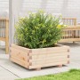 Jardinera de madera maciza de pino 60x60x26,5 cm en Maceteros y jardineras | Comprar online en Foro24