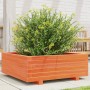 Jardinera de madera maciza de pino marrón cera 70x70x26,5 cm en Maceteros y jardineras | Comprar online en Foro24