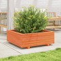 Jardinera de madera maciza de pino marrón cera 70x70x26,5 cm en Maceteros y jardineras | Comprar online en Foro24