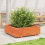 Jardinera de madera maciza de pino marrón cera 80x80x26,5 cm en Maceteros y jardineras | Comprar online en Foro24