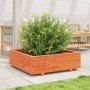 Jardinera de madera maciza de pino marrón cera 90x90x26,5 cm