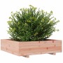 Jardinera madera maciza de abeto Douglas 90x90x26,5 cm