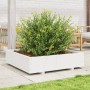 Jardinera madera maciza de pino blanco 100x100x26,5 cm
