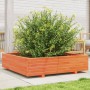 Jardinera de madera maciza de pino marrón cera 100x100x26,5 cm
