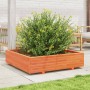Jardinera de madera maciza de pino marrón cera 100x100x26,5 cm