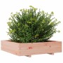 Jardinera madera maciza de abeto Douglas 100x100x26,5 cm