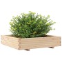 Jardinera de madera maciza de pino 110x110x26,5 cm