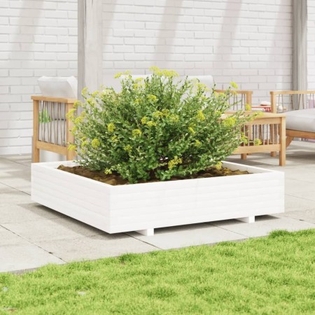 Jardinera de madera maciza de pino blanca 110x110x26,5 cm