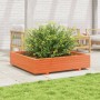 Jardinera de madera maciza de pino marrón cera 110x110x26,5 cm
