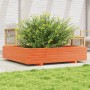 Jardinera de madera maciza de pino marrón cera 110x110x26,5 cm