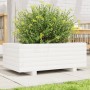 Jardinera de madera maciza de pino blanco 70x40x26,5 cm