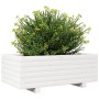 Jardinera de madera maciza de pino blanco 70x40x26,5 cm