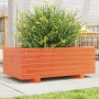 Jardinera de madera maciza de pino marrón cera 70x40x26,5 cm