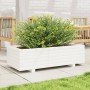 Jardinera de madera maciza de pino blanco 90x40x26,5 cm