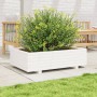 Jardinera de madera maciza de pino blanco 90x40x26,5 cm