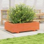 Jardinera de madera maciza de pino marrón cera 90x60x26,5 cm