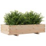 Jardinera de madera maciza de pino 110x60x26,5 cm en Maceteros y jardineras | Comprar online en Foro24