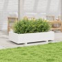 Jardinera de madera maciza de pino blanco 110x60x26,5 cm