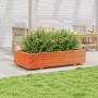Jardinera de madera maciza de pino marrón cera 110x60x26,5 cm