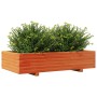 Jardinera de madera maciza de pino marrón cera 110x60x26,5 cm