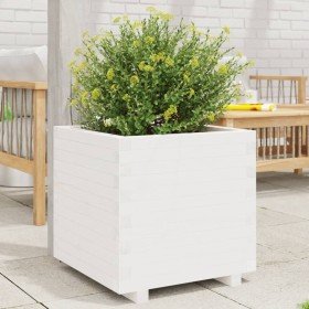 Jardinera madera maciza de pino blanco 50x50x49,5 cm en Maceteros y jardineras | Comprar online en Foro24