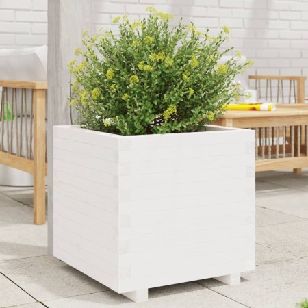 Jardinera madera maciza de pino blanco 50x50x49,5 cm