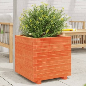 Jardinera madera maciza de pino marrón cera 50x50x49,5 cm