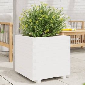 Jardinera madera maciza de pino blanco 60x60x49,5 cm
