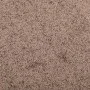 Braune Fußmatte 80x120 cm von vidaXL, Fußmatten - Ref: Foro24-331588, Preis: 42,63 €, Rabatt: %