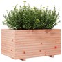 Jardinera madera maciza de abeto Douglas 90x60x49,5 cm