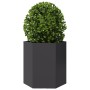 Jardineras hexagonales 2 uds acero negra 46x40x45 cm