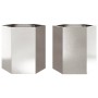 Jardineras hexagonales 2 uds acero inoxidable 46x40x45 cm en Maceteros y jardineras | Comprar online en Foro24