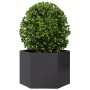 Jardinera hexagonal acero negra 69x60x45 cm en Maceteros y jardineras | Comprar online en Foro24