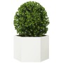 Jardinera hexagonal acero blanco 69x60x45 cm