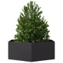 Jardinera hexagonal acero negra 138x120x45 cm en Maceteros y jardineras | Comprar online en Foro24