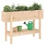Hochbeet aus massivem Kiefernholz, 101 x 30 x 69 cm von vidaXL, Töpfe und Pflanzgefäße - Ref: Foro24-825240, Preis: 59,81 €, ...