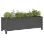 Raised garden bed solid gray pine wood 119.5x40x39cm by vidaXL, Pots and planters - Ref: Foro24-825263, Price: 98,55 €, Disco...