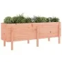 Arriate elevado jardín madera maciza abeto Douglas 160x50x57 cm de vidaXL, Maceteros y jardineras - Ref: Foro24-825224, Preci...