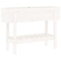 Arriate elevado de jardín madera maciza pino blanco 101x30x69cm de vidaXL, Maceteros y jardineras - Ref: Foro24-825241, Preci...