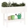 Hochbeet massives Kiefernholz weiß 101x30x69cm von vidaXL, Töpfe und Pflanzgefäße - Ref: Foro24-825241, Preis: 71,55 €, Rabat...