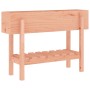 Hochbeet aus Massivholz Douglasie 101x30x69 cm von vidaXL, Töpfe und Pflanzgefäße - Ref: Foro24-825245, Preis: 77,37 €, Rabat...