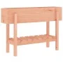 Hochbeet aus Massivholz Douglasie 101x30x69 cm von vidaXL, Töpfe und Pflanzgefäße - Ref: Foro24-825245, Preis: 75,59 €, Rabat...