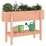 Hochbeet aus Massivholz Douglasie 101x30x69 cm von vidaXL, Töpfe und Pflanzgefäße - Ref: Foro24-825245, Preis: 77,37 €, Rabat...